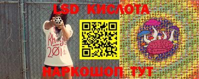 сатива Будённовск