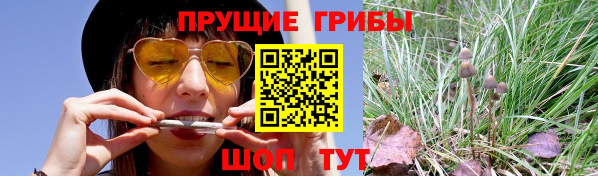 Рассказово  Каннабис  Вход с VPN  Амфетамин   МДМА  COCAIN  ГАШ  Меф МЯУ МЯУ   Кодеин  A PVP СОЛЬ   Экстази 