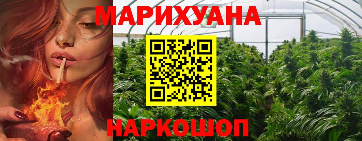 Канабис сатива Рассказово